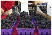 Coastside Farmer’s Market